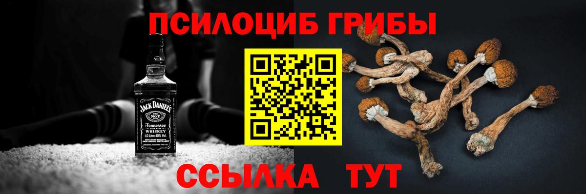 Галлюциногенные грибы прущие грибы Ипатово